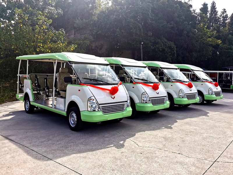 貴州大學(xué)4輛14座燃油觀光車